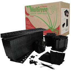 Kit WallGreen
